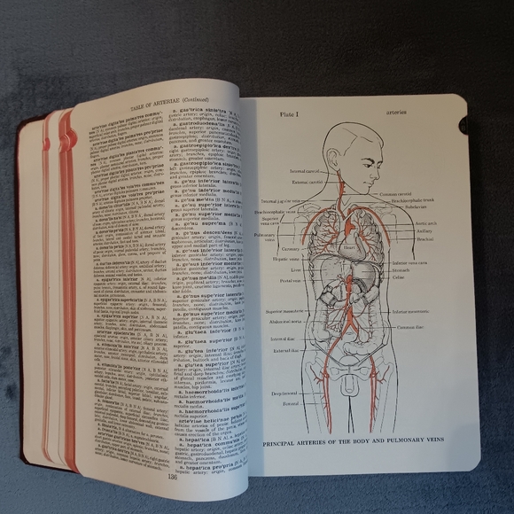 SOLD - Picture 2 of 16